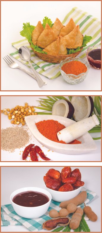 Combo Pack Samosa Masala - Image 3