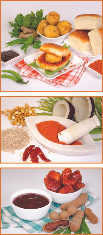 Combo Pack Vadapav Masala - Image 3